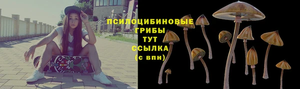 PSILOCYBIN Мегион