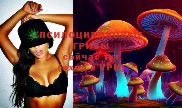 PSILOCYBIN Мегион